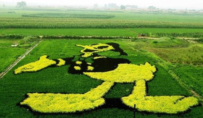 Karya Seni Cantik di Atas Sawah hingga Hobi Kulineran Rio Dewanto