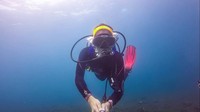 Tidak sedikit followers yang memuji kegemaran menyelam Putri. Foto: Instagram @putrimarino