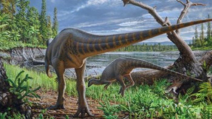 Temuan Dinosaurus Baru Seukuran Kalkun dari Australia
