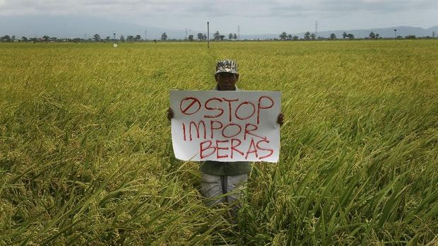 Terpaksa Impor Karena Kesemrawutan Data Beras