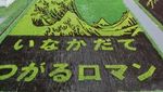 Keren! 10 Karya Seni yang Cantik Ini Dibuat di Atas Hamparan Sawah