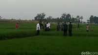Jokowi, Basuki, dan Ganjar lalu berbincang-bincang dengan para petani. Perbincangan itu cukup lama hingga langit hampir gelap. Mereka lalu berbalik badan untuk segera ke lokasi agenda berikutnya. Srukk! Tiba-tiba Ganjar terpeleset dan jatuh di sawah.