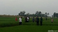 Jokowi yang saat balik arah berada di belakang Ganjar langsung sigap memegangi. Ganjar tak sampai jatuh ke lumpur sawah berkat pegangan Jokowi.