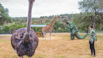 Tapi terlebih dulu Kieran Knightley memotret Godzilla-nya dengan latar belakang landscape yang didatanginya. Foto: Ryangodzilling