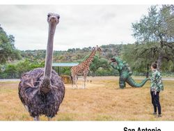 Penampakan Godzilla Traveling Keliling Dunia