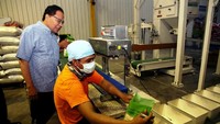Di lokasi itu, dia menyampaikan rasa kagumnya akan Food Station yang berhasil melakukan transformasi bisnisnya sekaligus membantu menyejahterakan petani. Istimewa.