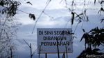 Rancabayawak, Surga Terakhir Kawanan Burung Blekok