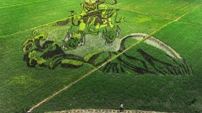 Keren! 10 Karya Seni yang Cantik Ini Dibuat di Atas Hamparan Sawah