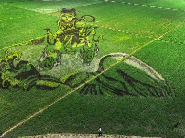 Keren! 10 Karya Seni yang Cantik Ini Dibuat di Atas Hamparan Sawah