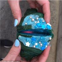 Di Australia Ada Croissant Bertema Mermaid, Isinya Krim Lumer Meleleh