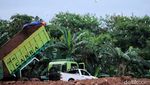 Rancabayawak, Surga Terakhir Kawanan Burung Blekok