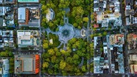 Ini bukanlah Central Park, melainkan Washington Square Park, taman kota yang tak kalah terkenalnya dengan Central Park. Cantik kan hasil karya Jeffrey? (dok Jeffrey Milstein)