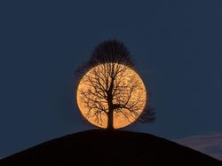 Kumpulan Foto Kece Tanpa Bantuan Photoshop