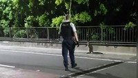 Seorang saksi mata mengungkapkan, dirinya tak menyangka dapat melihat walabi di jalanan kota besar seperti Sydney. Foto: dok. NSW Police
