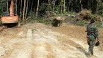 Yuk Lihat Jalan Perbatasan Kalimantan Dibangun