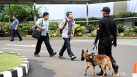 Anjing pelacak juga disiagakan.