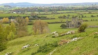 Dolores diketahui lahir di Ballybricken, sebuah kota yang berjarak sekitar 18 Km dari kota Limerick, Irlandia. Di kota inilah Dolores banyak menghabiskan waktunya saat kecil (Thinkstock)