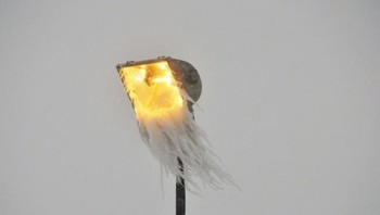 Lampu jalan berjanggut. Foto: brightside