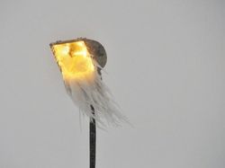 Kumpulan Foto Kece Tanpa Bantuan Photoshop