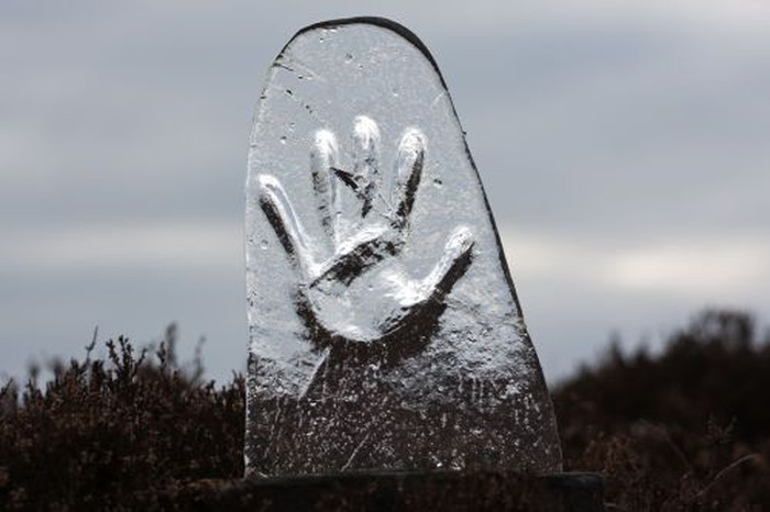 Patung Richard Shilling Kolaborasikan Antara Alam dan Seni