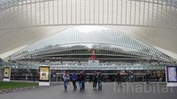 Liege-Guillemins TGV Railway Station merupakan ikon modern yang menyediakan akses kereta cepat yang menempuh perjalan sepanjang Eropa. Istimewa/Inhabitat.