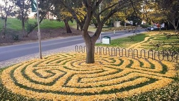 Labirin mini. Foto: brightside