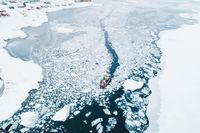 Mengintip Kehidupan di Greenland