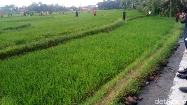 Jokowi Ingin Warga Dibayar per Hari di  Program Padat Karya Cash