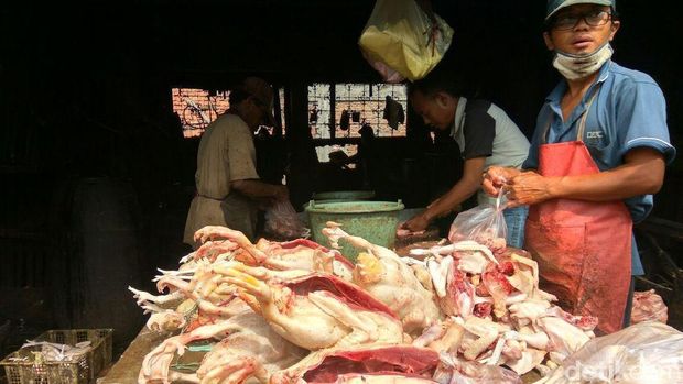 Pedagang hanya menjual itik/