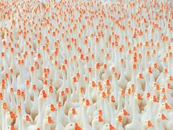 Kumpulan Foto Kece Tanpa Bantuan Photoshop