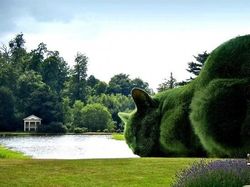 Kumpulan Foto Kece Tanpa Bantuan Photoshop