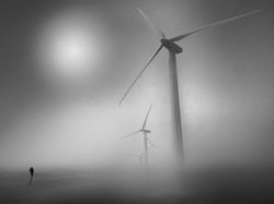 Deretan Karya Jawara Kontes Foto Hitam Putih