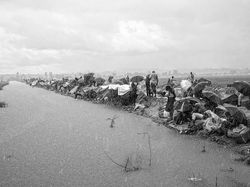 Deretan Karya Jawara Kontes Foto Hitam Putih