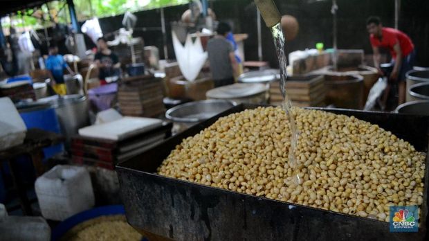 Aktivitas pekerja pabrik tahu di Jakarta