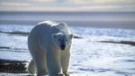 Foto: Keindahan Greenland, Pulau Terbesar di Dunia