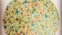 Untuk mengetahui seseorang mengalami buta warna atau tidak, kamu harus menjalani sebuah tes penglihatan warna Ishihara. Sesuai dengan namanya, penemu tes ini adalah Shinobu Ishihara, seorang ophthalmologist dari Jepang, pada tahun 1917. (Foto: Instagram/the_n_nicole)