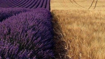 Transisi yang indah. Foto: brightside