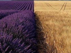 Kumpulan Foto Kece Tanpa Bantuan Photoshop