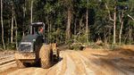 Yuk Lihat Jalan Perbatasan Kalimantan Dibangun