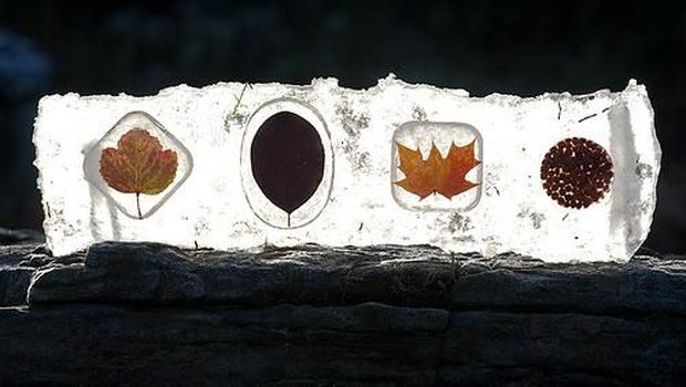 Patung Richard Shilling Kolaborasikan Antara Alam dan Seni 