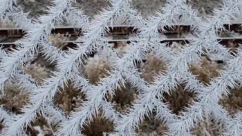 Pagar membeku. Foto: brightside