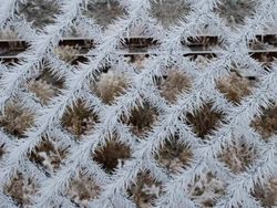 Kumpulan Foto Kece Tanpa Bantuan Photoshop