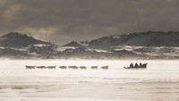 Yang terlihat di Greenland, tentu saja hamparan es (Mads Pihl/Visit Greenland)