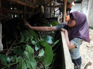 Nurul Kehilangan Pendengaran Dikenal Cerdas di Sekolah