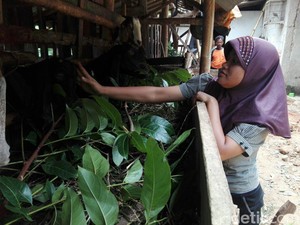 Nurul Kehilangan Pendengaran Dikenal Cerdas di Sekolah