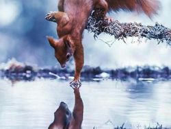 Kumpulan Foto Kece Tanpa Bantuan Photoshop