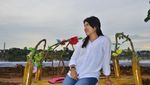Foto: Senyum Novi, Sang Mantan yang Bikin Pria Pingsan di Pernikahan