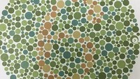 Buta warna yang dalam istilah kedokteran dikenal sebagai Dyschromatopsia mengacu pada kemampuan untuk melihat beberapa warna. Sedangkan Achromatopsia, yang jarang terjadi, mengacu pada ketidakmampuan mata untuk melihat warna sama sekali. Untuk mengetahuinya biasanya dilakukan deteksi dini dengan tes Ishihara. (Foto: Instagram/eyedoctor_woo)