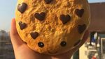 10 Squishy Bentuk Makanan Ini Imut dan Menggemaskan!