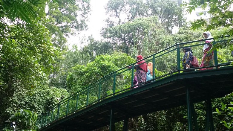 Suasana hijau di Babakan Siliwangi (Mochamad Solehudin/detikcom) Suasana hijau di Babakan Siliwangi (Mochamad Solehudin/detikcom)